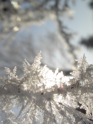 Winter: Alkoholfreie und antistatische Shampoos versorgen das Haar mit Feuchtigkeit und vermeiden das es zu Berge steht. (© Great Lengths)