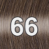 Farbe Nummer 66