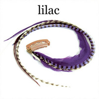 Quill Clips Grand . lilac