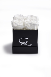 THE G ROSE WHITE - 4 ROSES SQUARE BOX:  (© Great Lengths)